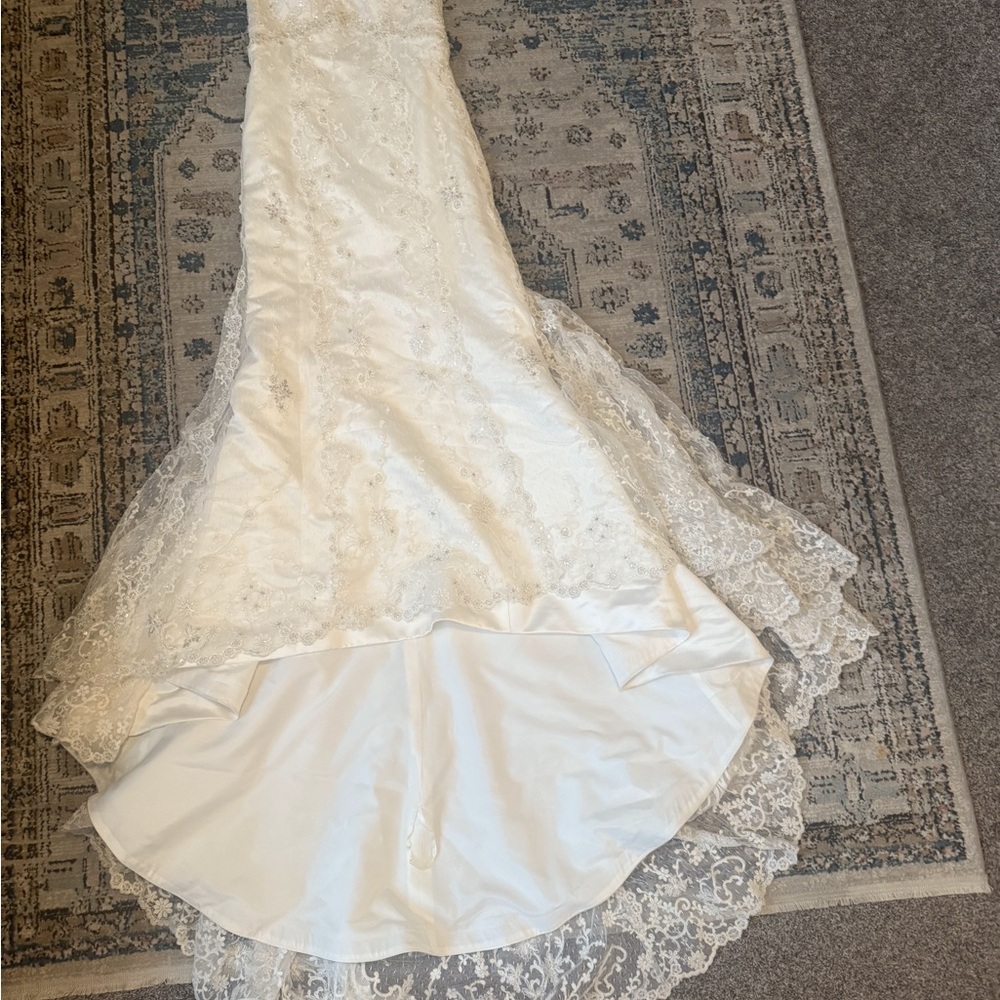 Chic Backless Lace Gown - Cream